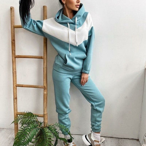 Womens Basic Cotton Sweatshirts Sets Hoodies and  Elastic Waist Pants